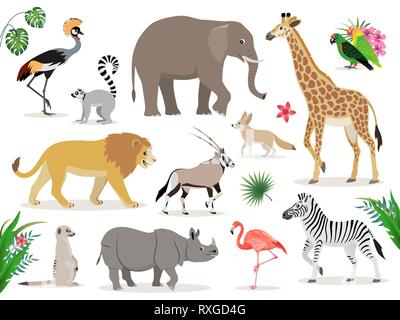 Ensemble d'animaux d'Afrique mignonnes icônes isolé sur fond blanc, grues couronnées, lemur, éléphants, girafes, lions, antilopes, zèbres, rhinocéros, suricate Illustration de Vecteur