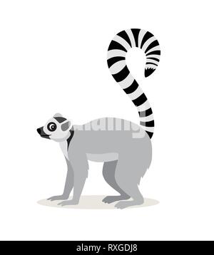 Animaux d'Afrique lémuriens mignon, avec sa longue queue rayée icon isolé sur fond blanc, vector Illustration de Vecteur