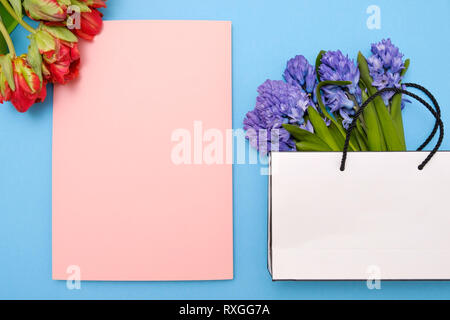 Tulipes rouges et de fleurs de jacinthe bleu présent carte sur un fond rose bleu avec copyspace. Banque D'Images