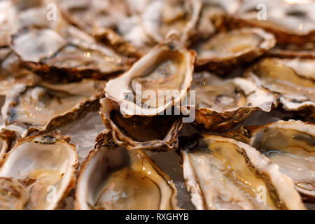 Ouvert sur les huîtres fraîches disposées en boucle plaque - Fruits de mer français de luxe Banque D'Images