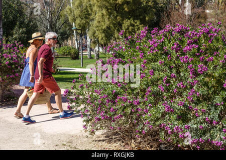 Valencia Turia Park. Ancien lit de la rivière, un endroit pour beaucoup d'activités de loisirs, le couple a tenu pour une promenade dans Valencia City Park Banque D'Images