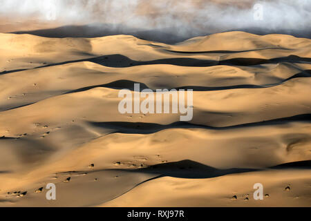 Plus de séance de brouillard la grande mer de sable de la Namibie. Banque D'Images