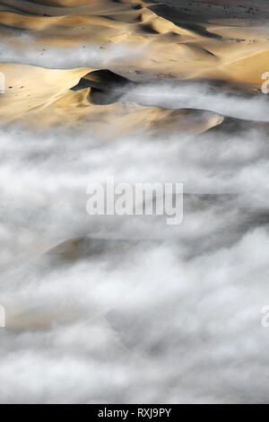 Plus de séance de brouillard la grande mer de sable de la Namibie. Banque D'Images