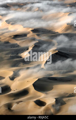 Plus de séance de brouillard la grande mer de sable de la Namibie. Banque D'Images