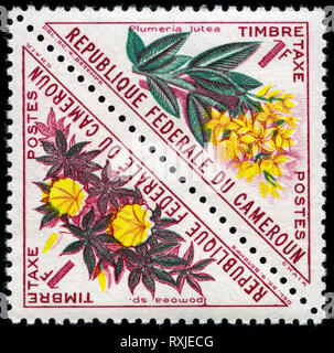 Timbre-poste du Cameroun dans les fleurs série émise en 1963 Banque D'Images