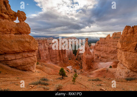 Le Parc National de Bryce Canyon Banque D'Images