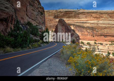 Colorado National Monument, Colorado, USA Banque D'Images