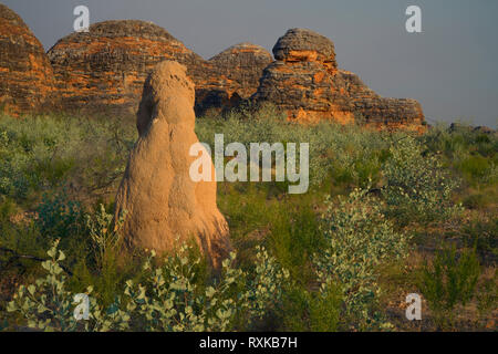 Termitière photographié devant des Bungle Bungles, rempli de fumée avec de l'air contrôlé à proximité des feux de forêt. Gamme de montagne unique dans le Parc National de Purnululu. Site du patrimoine mondial à l'Est de la région de Kimberley en Australie occidentale Banque D'Images