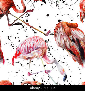 Flamingo rouge exotique dans une réserve d'espèces sauvages isolés. Contexte aquarelle illustration set. Motif de fond transparent. Banque D'Images