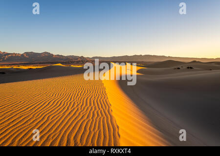 Randonnée matinale dans les dunes de sable plat Mesquite