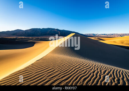 Mesquite Flat dunes de sable de l'heure d'or Banque D'Images