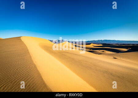 Mesquite Flat dunes de sable de l'heure d'or