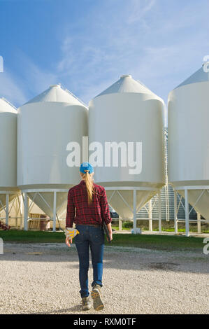 Girl realiser un ordinateur marche vers la trémie de stockage de semences dans des bacs d'une ferme, près de Dugald (Manitoba) Banque D'Images