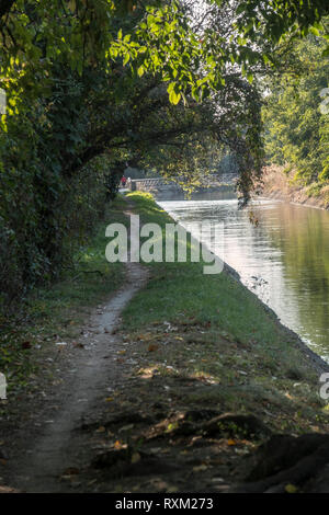 Parc de Grugnotorto (Lombardie, Italie), entre Milan et de la Brianza, en automne. Chemin pour piétons et vélos le long du canal Villoresi Banque D'Images