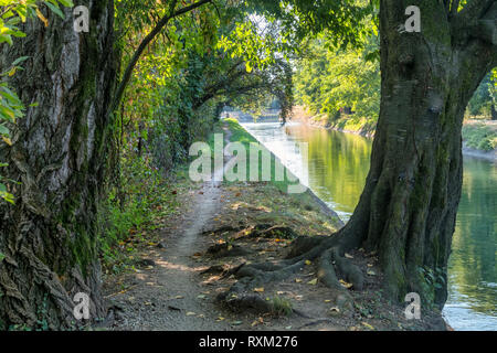 Parc de Grugnotorto (Lombardie, Italie), entre Milan et de la Brianza, en automne. Chemin pour piétons et vélos le long du canal Villoresi Banque D'Images