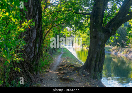 Parc de Grugnotorto (Lombardie, Italie), entre Milan et de la Brianza, en automne. Chemin pour piétons et vélos le long du canal Villoresi Banque D'Images