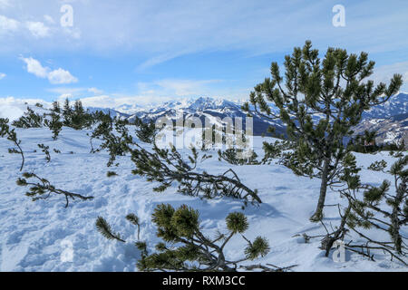 Une photo de la journée ensoleillée en Alpes autrichiennes. La visibilité est excellente, la nature est très agréable. Les sommets des montagnes se cachent dans certains nuages. Banque D'Images