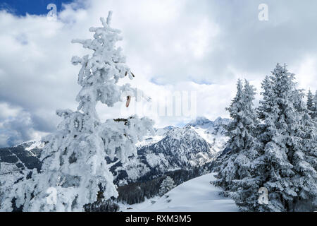 Une photo de la journée ensoleillée en Alpes autrichiennes. La visibilité est excellente, la nature est très agréable. Les sommets des montagnes se cachent dans certains nuages. Banque D'Images