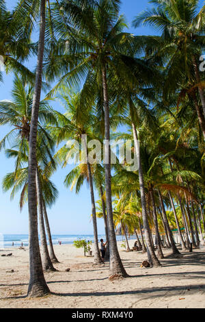 Samara Guanacaste Costa / Rica-January,25, 2019 : plage de Samara. Plage sur la côte Pacifique du Costa Rica. Banque D'Images