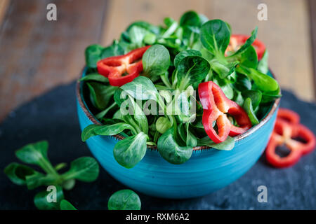 Studio Shot of fresh green salade de maïs avec des poivrons paprika joints toriques Banque D'Images