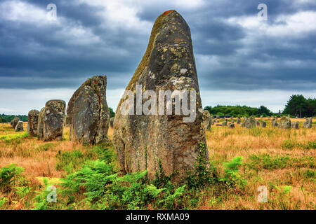 L'alignement mégalithique de Carnac en Bretagne, France Banque D'Images