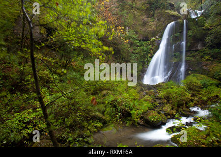 Elk Creek Falls, Coos Comté, Oregon, USA Banque D'Images