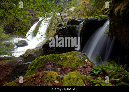 Coquille River Falls, Coos Comté, Oregon, USA Banque D'Images