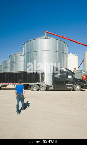 L'homme s'approche d'un camion agricole à côté des cellules à grains dans une ferme, près de Lorette, Manitoba Banque D'Images