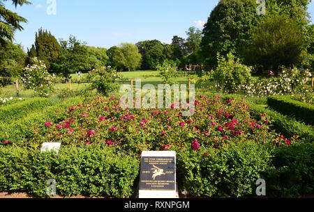 Plaque commémorant le 50e anniversaire de forces aéroportées (1940-1990) dans le jardin de roses à Chelmsford Musée Jardins, Chelmsford, Essex, Royaume-Uni. Soleil Banque D'Images