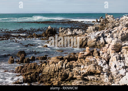 Colonie de manchot Spheniscus demersus, debout, à Betty's Bay, Afrique du Sud Banque D'Images