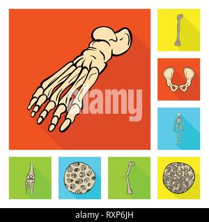 Fémur,pieds,de,la hanche,appareil locomoteur Fracture,fibres,ostéoporose,cheville,bony,joints,sain,scientifique,la douleur,cell,dommage,joints,mouvement,tissus,système musculaire,pieds nus,calcium,chirurgie,ossature,tendon,jambe,bassin,biais,du squelette osseux,squelette,anatomie,des,organes,médical,médecine,clinique,biologie,,set,icône,,illustration,collection,isolé,design,graphisme,élément signe,télévision,ombre,vecteurs vecteur , Illustration de Vecteur