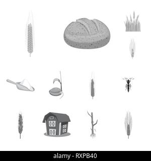 L'orge de printemps,pain,farine,graines,voler,grenier,etuve,hiver,spike,repas,insectes,s,root,bâtiment,maïs,sain,campagne,culture,la germination des céréales,insecticide,remise,randonnée,de,automne,pain de seigle,mûrs,plantes,blé,maïs,grain,récolte,ferme,terrain,agriculture,agriculture,,set,icône,,illustration,collection,isolé,design,graphisme,élément signe,gris,noir,vecteurs vecteur , Illustration de Vecteur