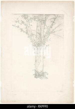 Arbre généalogique. Odilon Redon ; français, 1840-1916. Date : 1892. Dimensions : 401 × 319 mm (image) ; 476 × 320 mm (Chine) ; 628 × 453 mm (feuille). Lithographie en noir sur papier crème Chine fixées sur papier vélin ivoire. Origine : France. Musée : le Chicago Art Institute. Banque D'Images