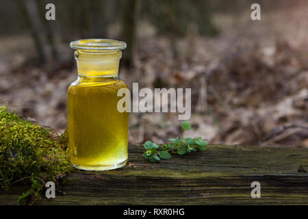 L'aromathérapie naturelle, remèdes - pharmacie bouteille. Bouteille avec un mélange de fines herbes dans la forêt - Bach. Banque D'Images