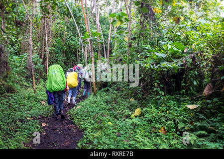 Les randonneurs l'escalade du mont volcan Nyiragongo en République démocratique du Congo Banque D'Images