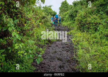 Les randonneurs l'escalade du mont volcan Nyiragongo en République démocratique du Congo Banque D'Images