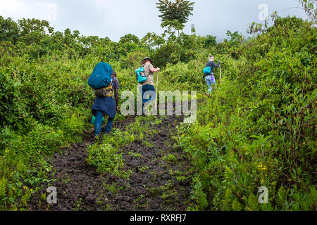 Les randonneurs l'escalade du mont volcan Nyiragongo en République démocratique du Congo Banque D'Images