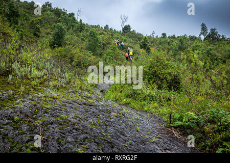 Les randonneurs l'escalade du mont volcan Nyiragongo en République démocratique du Congo Banque D'Images