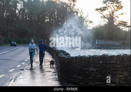 Bantry, West Cork, Irlande. 10 mars, 2019. Deux jeunes femmes bravent les vagues se briser sur le trottoir en marchant leur chien le long du front de mer de Bantry. Les vents sont en ce moment d'atteindre une vitesse de 47 km/h avec des rafales à 80 KM/H. Credit : Andy Gibson/Alamy Live News Banque D'Images