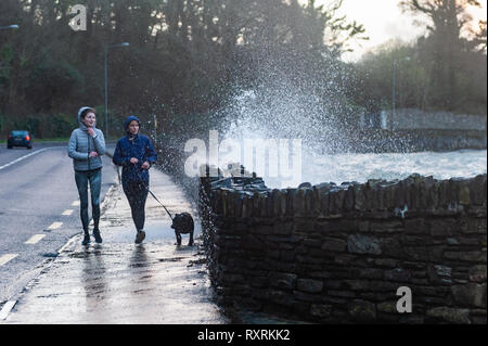 Bantry, West Cork, Irlande. 10 mars, 2019. Deux jeunes femmes bravent les vagues se briser sur le trottoir en marchant leur chien le long du front de mer de Bantry. Les vents sont en ce moment d'atteindre une vitesse de 47 km/h avec des rafales à 80 KM/H. Credit : Andy Gibson/Alamy Live News Banque D'Images