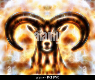 Dimensions des moutons sauvages avec des cornes, puissant effet fractal. Banque D'Images