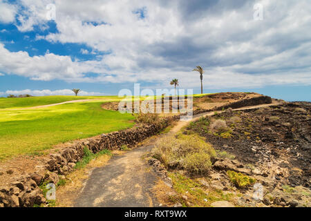 Le parcours de golf. Beau paysage d'un court de golf avec des palmiers sur fond de l'océan. L'île de Tenerife. Secteur de l'agriculture. Espagne Banque D'Images