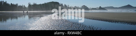 Chesterman Beach panorama à marée basse. Pacific Rim National Park, British Columbia, Canada Banque D'Images