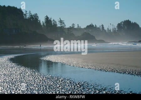 À marée basse, Chesterman Beach, Tofino (Colombie-Britannique),Canada. Banque D'Images