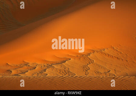 Détail des magnifiques paysages de dunes de Sossusvlei au Parc National. Ouest de la Namibie, près de la ville de Sesriem,l'Afrique. Banque D'Images