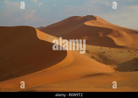 De magnifiques dunes rouges de Sossusvlei Parc National. Sossusvlei est un sel et de l'argile pan formé à partir de dépôts de la rivière Tsauchab avant son débit était bloquée par des dunes de sable. Le mot "ossusvlei' signifie 'Dead-fin marsh' et bien que le nom d'origine visée à la poêle,il nowrefers à l'ensemble de la zone d'immenses dunes rouges qui composent le Parc National de Sossusvlei. Ouest de la Namibie, près de la ville de Sesriem,l'Afrique. Banque D'Images