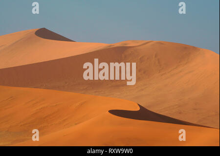 De magnifiques dunes rouges de Sossusvlei Parc National. Sossusvlei est un sel et de l'argile pan formé à partir de dépôts de la rivière Tsauchab avant son débit était bloquée par des dunes de sable. Le mot "ossusvlei' signifie 'Dead-fin marsh' et bien que le nom d'origine visée à la poêle,il nowrefers à l'ensemble de la zone d'immenses dunes rouges qui composent le Parc National de Sossusvlei, dans l'ouest de la Namibie, près de la ville de Sesriem,l'Afrique. Banque D'Images