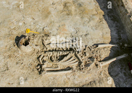 Squelette dans un cimetière romain découvert lors de fouilles archéologiques Banque D'Images