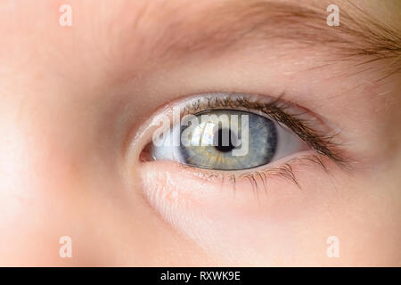 Une photo d'un œil gris et un sourcil d'une petite fille close-up 2019 Banque D'Images