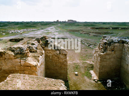 La C1stBC oasis ville de Hatra (al-Hadr) SW de Mossoul dans le nord de l'Iraq : route menant de la porte N à l'intérieur de l'enceinte sacrée des temples et des palais. Banque D'Images